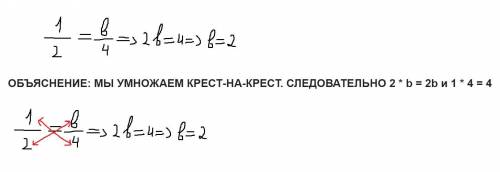 Всем привет значит 1/2= b/4. Какой будет ответ? Желательно пояснить как его найти