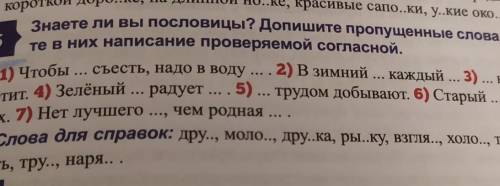 5 класс не понимаю что делать мне кажется что я тупая ​