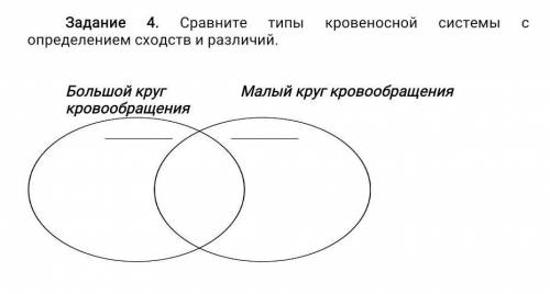 Сравните типы кровеносной системы с определением сходств и различий. Большой круг Малый круг кровооб