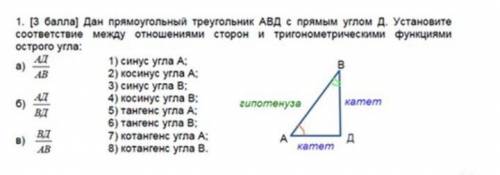 Дан прямоугольный треугольник ABД с прямым углом Д. Устонавите соответствие между отношеничми сторон