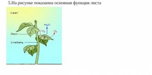 (b) Установите соответствие процессов фотосинтеза и дыхания: УсловияПроцессыА.СветB.Вода C.Тепло D.Х