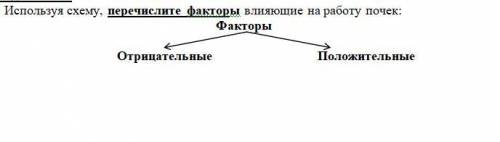 Используя схему, перечислите факторы влияющие на работу почек: