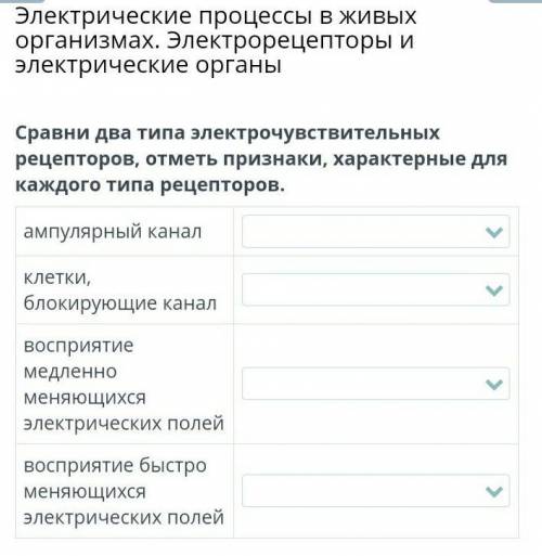 Сравни два типа электрочувствительных рецепторов, отметь признаки, характерные для каждого типа реце