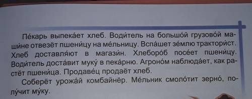 Какой путь проходит маленькое зёрнышко чтобы отказаться вкусным хлебом у тебя на столе