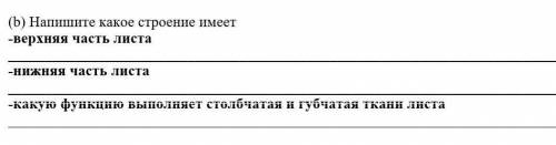 Напишите Какое строение имеет верхняя часть листа нижняя часть листа и какую функцию выполняет столб