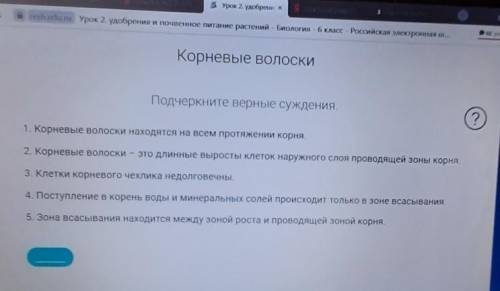 Решите, верно или неверно то или иное суждение. Подчеркните правильные утверждения.​ Задания в РЕШ