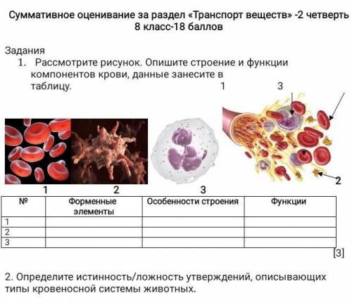 Рассмотрите рисунок опишите строение и функции компонентов крови данные запишите в таблицу​