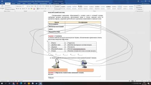 Задание у меня СОР по естествознанию