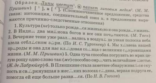 . Спишите предложения, расставляя недостающие знаки препинания, вставляя пропущенные буквы, раскрыва