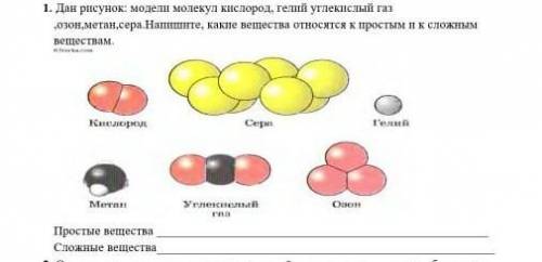 Сор по естествознанию шестой класс вторая четверть​