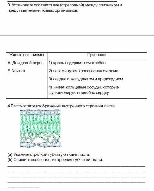 с 3 и 4 заданием по биологии