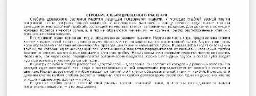 ОТВЕТЬТЕ НА ЭТИ ВОПРОСЫ ПО ТЕКСТУ СНИЗУ 1) Что такое луб? 2) В чём сходство и различие в функционир