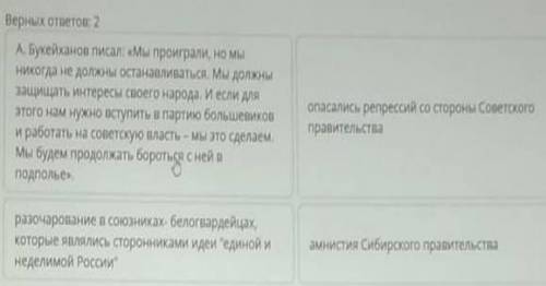 Нужно очень очень каковы были причины которые заставили правительство алаш орды перейти на сторону с