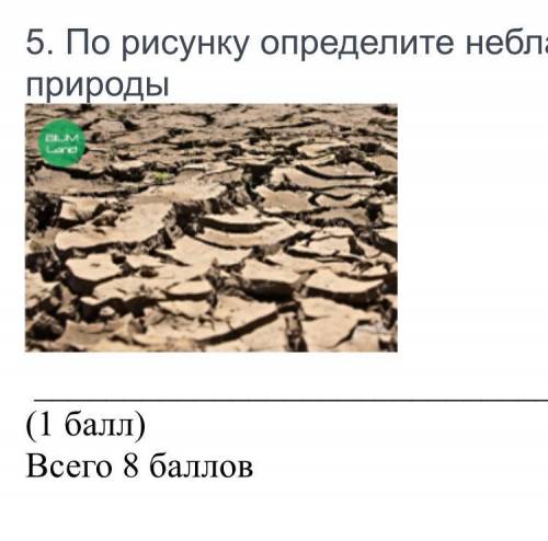 5. По рисунку определите неблагоприятное явление природы