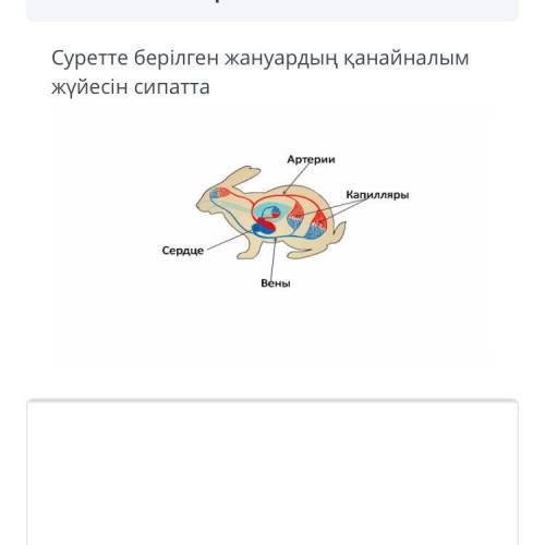 Суретте берилген жануардын канайналым жуйесин сипатта даю