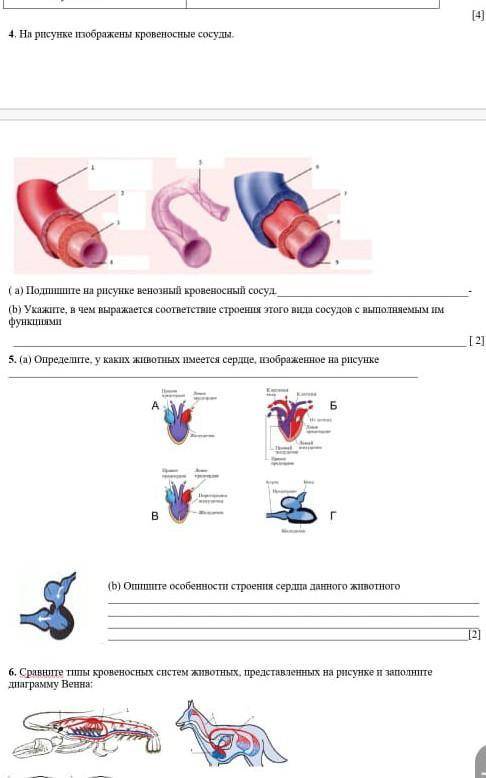 сделайте все отдам какие есть ​