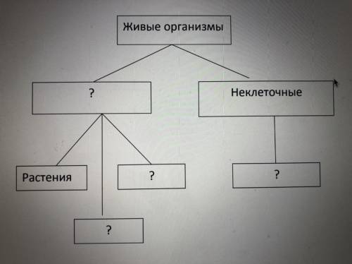 Живые организмы ? Неклеточные Растения ? ? ?