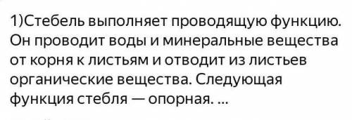 Используя дополнительные источникиинформации, установите,какие функциивыполняет стебель растения, пе