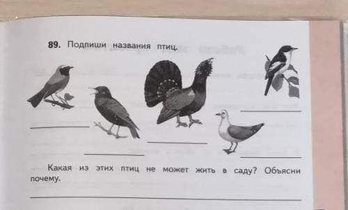 Подпиши название птиц.Какая из этих птиц не может жить в саду?Объясни почему.​