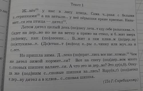  Переписать, вставить пропущенные орфограммы и знаки препинания, подобрать в скобках проверочные сло