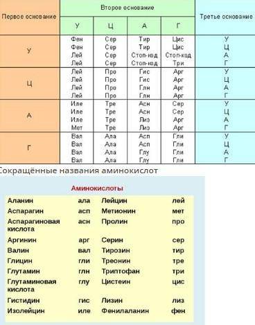 1..Дана последовательность антикодонов транспортной РНК — ЦАУ, АГА, ГЦГ, ЦГА. Какой кодон матричной