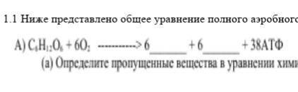 1.1 Ниже представлено общее уравнение полного аэробного процесса дыхания А) СО2; О2 В) H2O; О2 С) C2