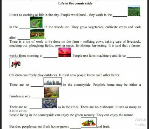 Complete the sentences using the words in the box. (Fields, garden, cattle, night, lorry, skyscraper