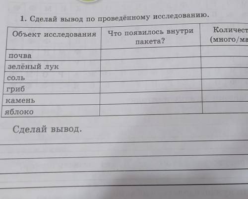 сделай вывод по проведенному исследованию объекта исследования почвы зеленый лук соль гриб камень яб