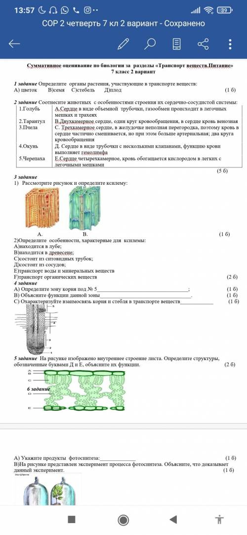 2 задание Соотнесите животных с особенностями строения их сердечно-сосудистой системы: 1.Голубь А.Се