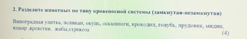 с биологией, - Разделите животных по типу кровеносной системы (замкнутая-незамкнутая)виноградная ули