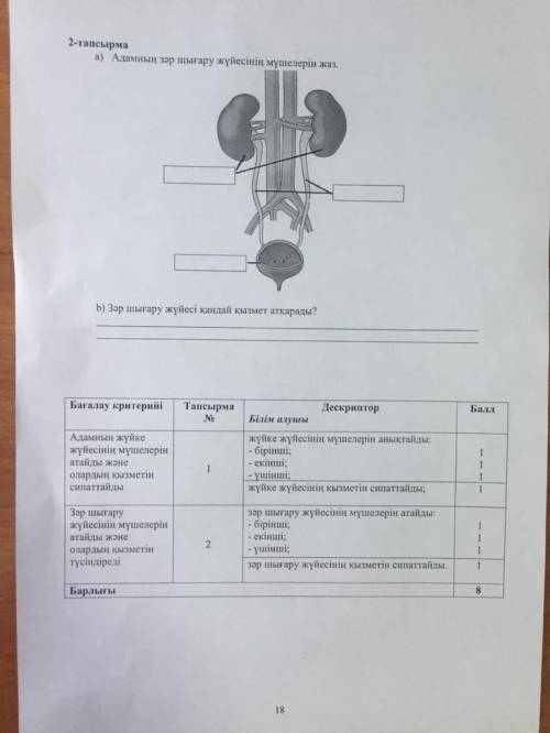 Зар шыгару жуйесi кандай кызмет аткарады?