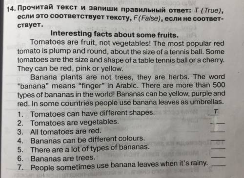 Текст и запиши правильный ответ