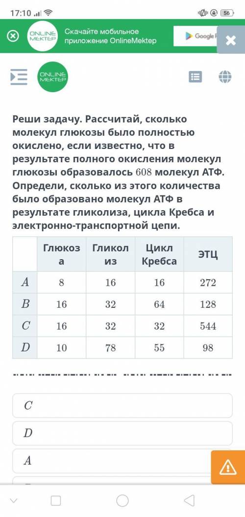 Ребят с вас только буква правильно