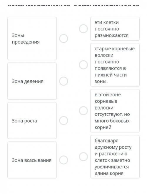 Зоны проведенияэти клетки постоянно размножаютсястарые корневые волоскипостояннопоявляются внижней ч