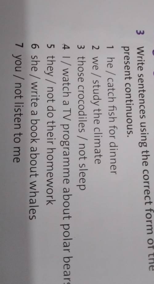 Write sentencas using the correct from of the present continuinuous​