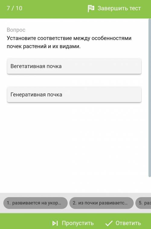 Установите соответствие между особенностями почек растений и их видами. Вегетативная почкаГенеративн