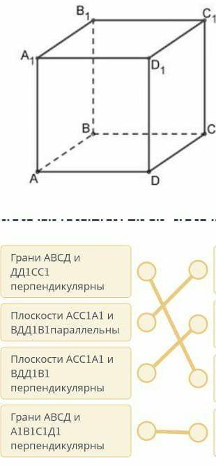 в кубе АБСДА1Б1С1Д1,выберите верные утверждения​