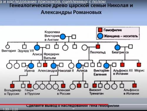 9 класс. Биология. Внизу я прикрепила картинку, на которой изображено генеалогическое древо царской