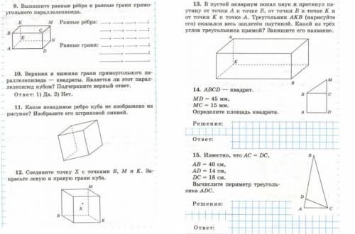 решить эти задания. ВСЕ ЗАДАНИЯ.