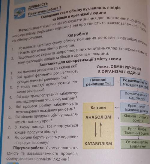 сделать практическую работу надо написать ,ход роботы ,ответить на вопросы и отдельно расписать про