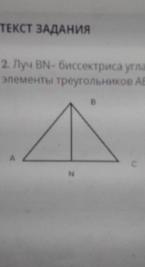 Луч BNбиссектриса угла ABC на сторонах угла отложены равные отрезки AB и BC Запишите равные элементы