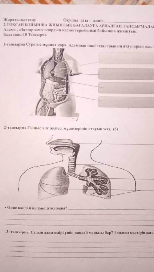 ЖАРАТЫЛЫСТАНУКӨМЕК КЕРЕК!​