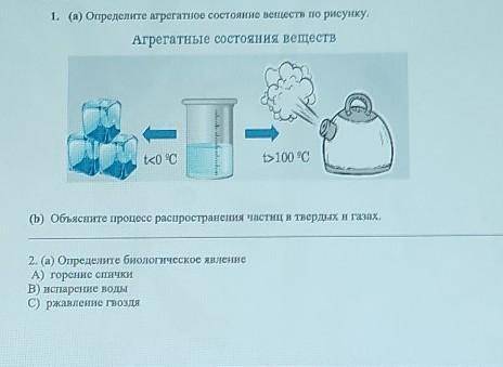 Адання 1. (а) Определите агрегатное состояние веществ по рисунку.Агрегатные состояния веществt<0