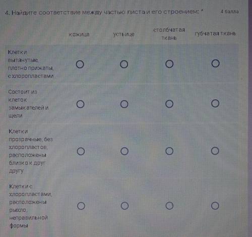 4. Найдите соответствие между частью листа и его строением: * столбчатаяКожицаустьицегубчатая тканьТ