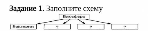 Задание 1. Заполните схемуБиосфераБактера​