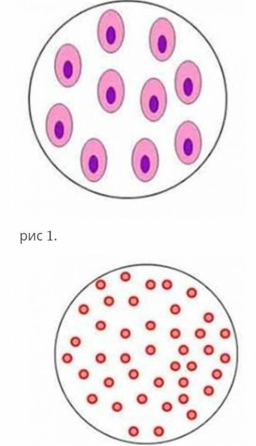 1.Определите какие кровяные клетки изображены на рисунке 1 и 2 каких организмов 2. Определите отличи