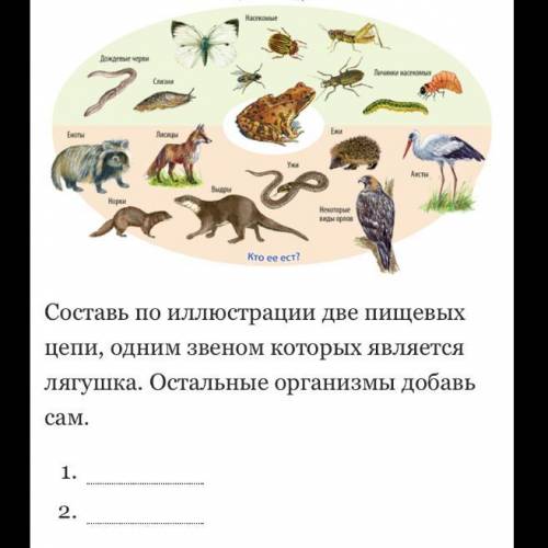 Составьте эту пищевую цепь и ответьте на вопросы 1) Почему на рисунке нет ни одного растения? 2) Поч