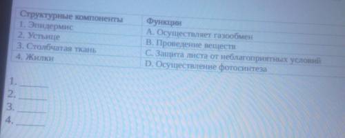 Найдите соответствие между структурными компонентами листа и их функциями нужно это ссор ​