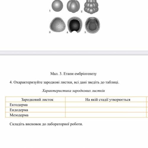 Лабораторная с биологии Тема. Вивчення етапів ембріогенезу