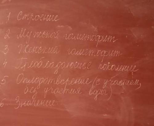 Напишете конспект по плану про: Водоросли, мхи, плауны, хвощи, папоротники, голосеменные, покрытосем